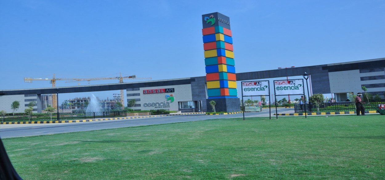 Ansal esencia plots